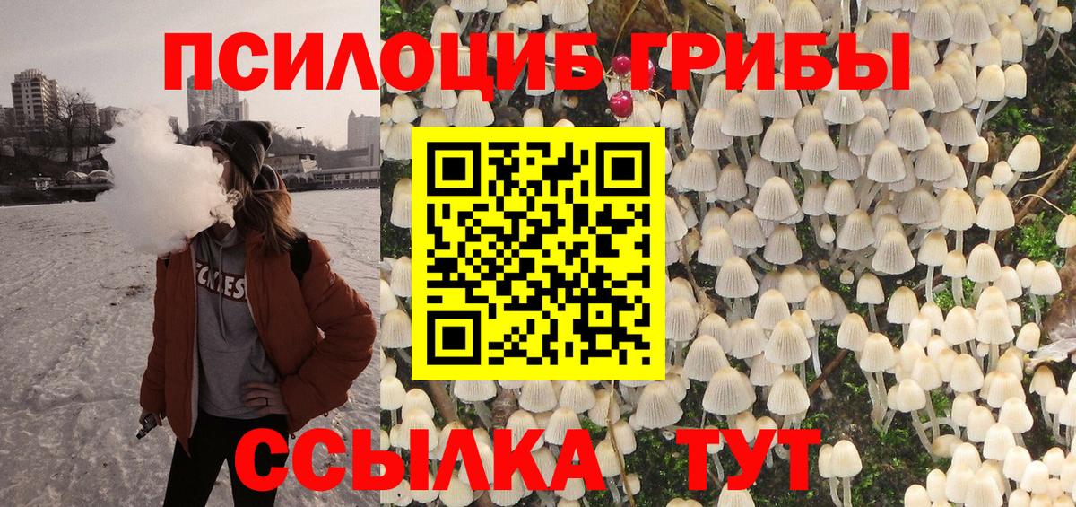 Галлюциногенные грибы Cubensis  Вход с VPN  Тула  Псилоцибиновые грибы GOLDEN TEACHER 